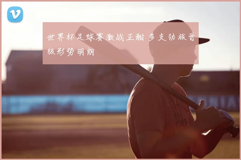 世界杯足球赛激战正酣 多支劲旅晋级形势明朗
