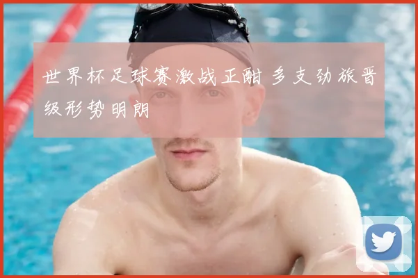 世界杯足球赛激战正酣 多支劲旅晋级形势明朗